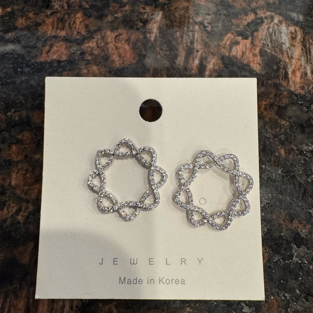 Elegant Silver Loop Earrings